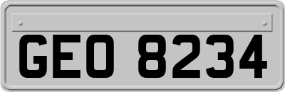 GEO8234