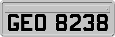GEO8238