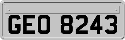 GEO8243