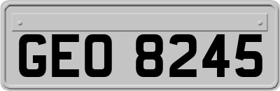 GEO8245