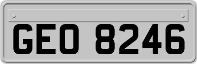GEO8246