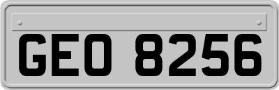 GEO8256