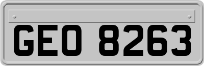 GEO8263