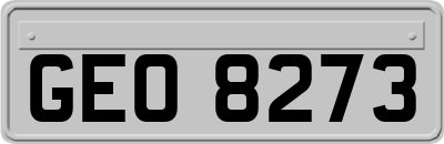 GEO8273