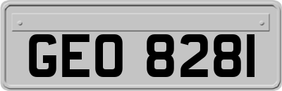 GEO8281