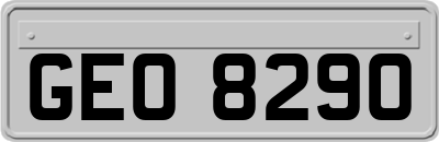 GEO8290