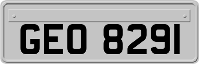 GEO8291