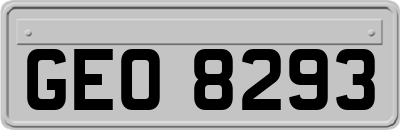 GEO8293