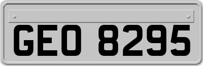 GEO8295