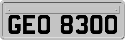 GEO8300