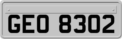GEO8302