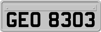 GEO8303