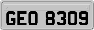 GEO8309