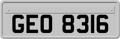 GEO8316