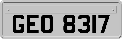 GEO8317