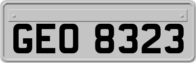 GEO8323