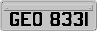 GEO8331