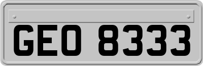 GEO8333