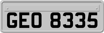 GEO8335