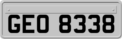 GEO8338