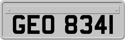 GEO8341