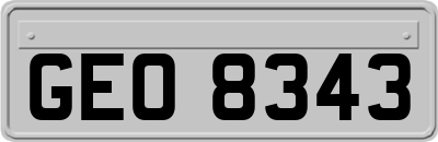 GEO8343