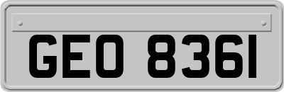 GEO8361