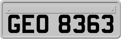 GEO8363