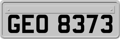 GEO8373