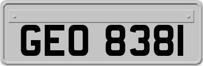 GEO8381