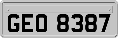 GEO8387