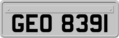 GEO8391