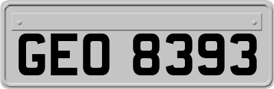 GEO8393