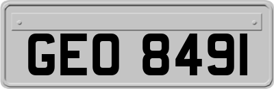 GEO8491
