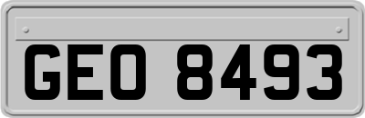GEO8493