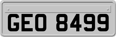 GEO8499
