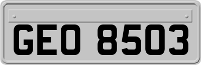 GEO8503