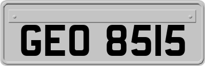 GEO8515