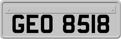 GEO8518