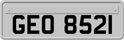 GEO8521