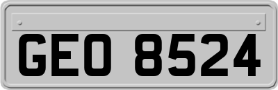 GEO8524