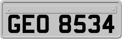 GEO8534