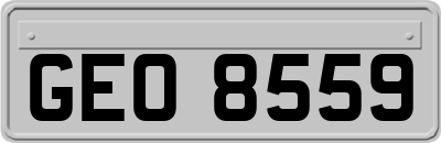 GEO8559