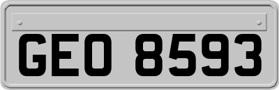 GEO8593