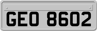 GEO8602
