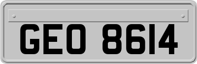 GEO8614