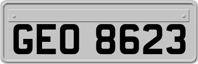 GEO8623