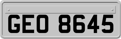 GEO8645