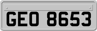 GEO8653