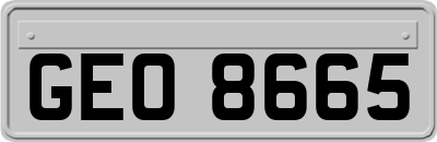GEO8665